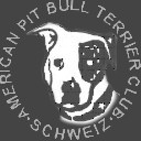 Der gebrauchte Hund - APbT Club Schweiz