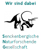 Senckenberg Hund