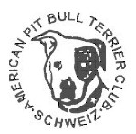 Der American Pitbull Terrier der Schweiz