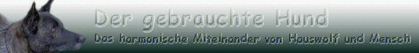 Der gebrauchte Hund - Der Weg zum harmonischen Miteinander von Hund und Mensch