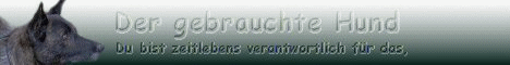 Der gebrauchte Hund - Der Weg zum harmonischen Miteinander von Hund und Mensch