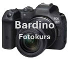 Der gebrauchte Hund - Die hohe Kunst, Deinen Bardino zu fotografieren
