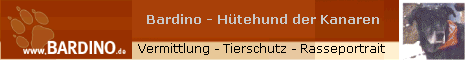 Gebrauchter Hund - Die BARDINO .de
