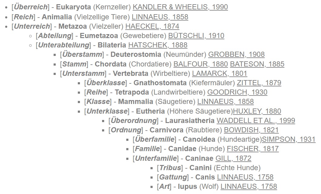 Die Systematik der Säugetiere