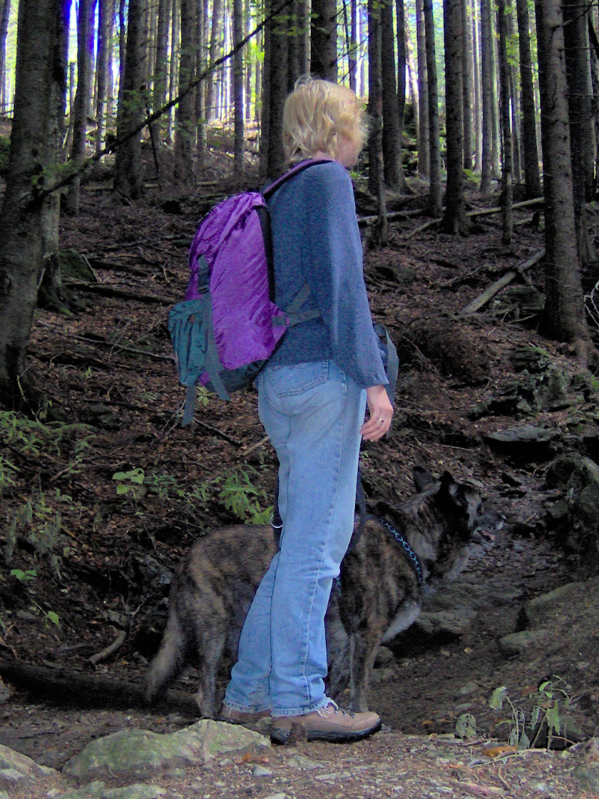 Harry und Merlin