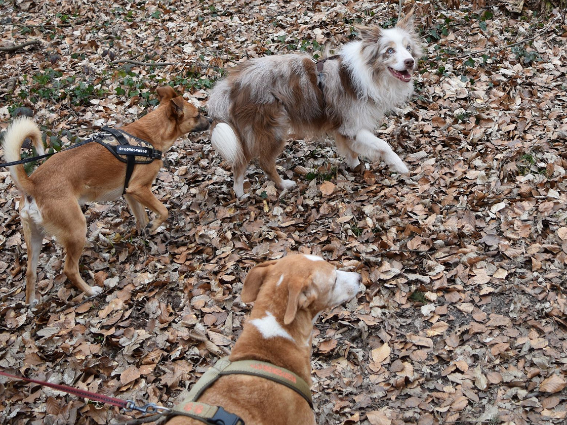 Jason trifft Imkes Ivi und Jack