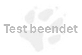 Pfote eines Hundes nach Test