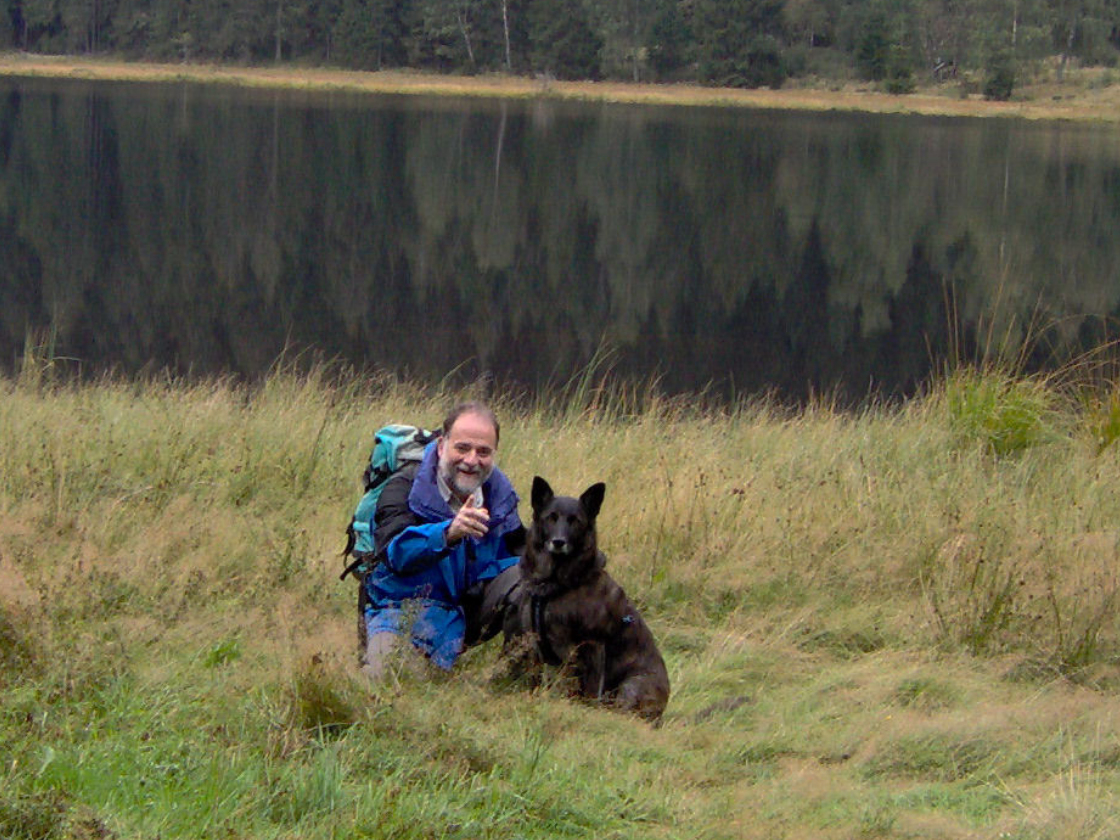 GEBRAUCHTER HUND Harry Bindung Beginn