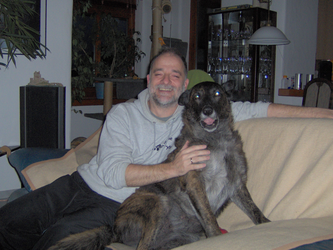 GEBRAUCHTER HUND Harry im Schnee