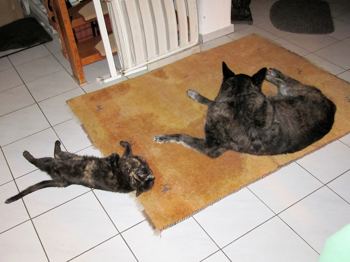 Harry und Kira 2014