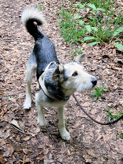 Heimkind Terry erste Runden
